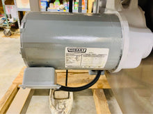 Load image into Gallery viewer, Hobart 6801 142” Meat Bandsaw Fully Refurbished Tested &amp; Works Great!
